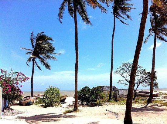 קלפיטייה Scoop Cabana Kitesurfing מראה חיצוני תמונה